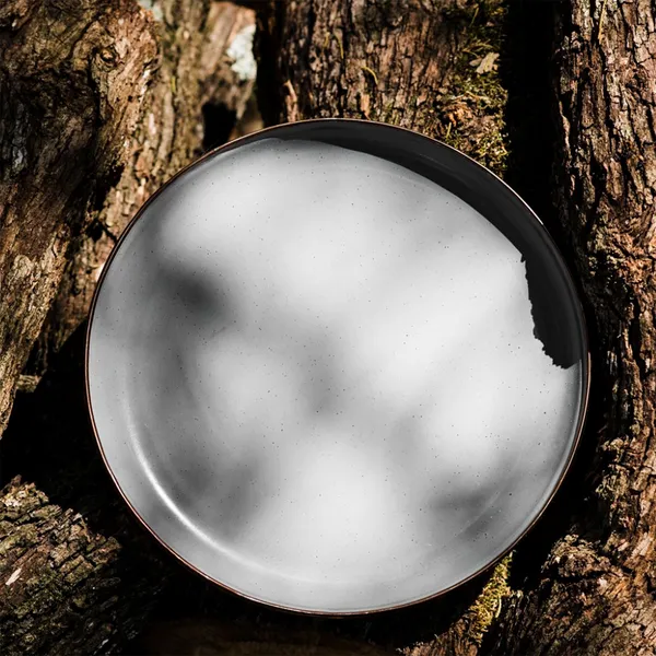 Barebones Enamel Plate - Set of 2