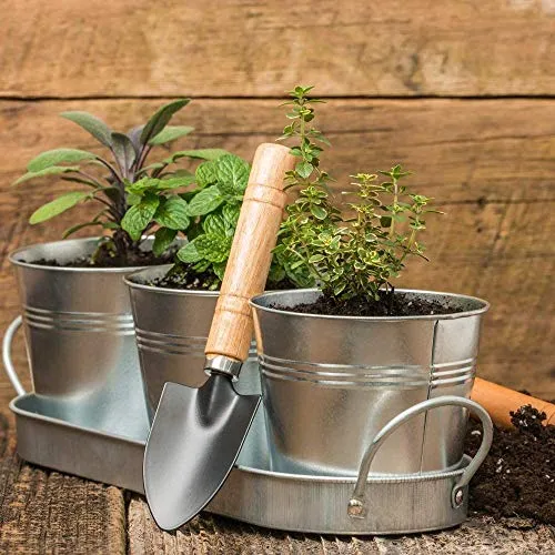 Kicko Large Galvanized Metal Buckets Bulk - 6 Pack - with Handle 5 X 4.5 Inches - Unique