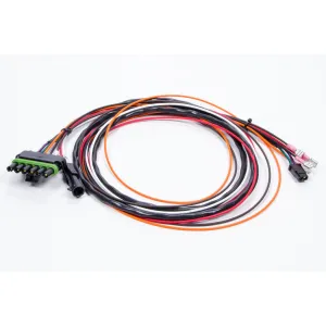 MSD Wiring Harness