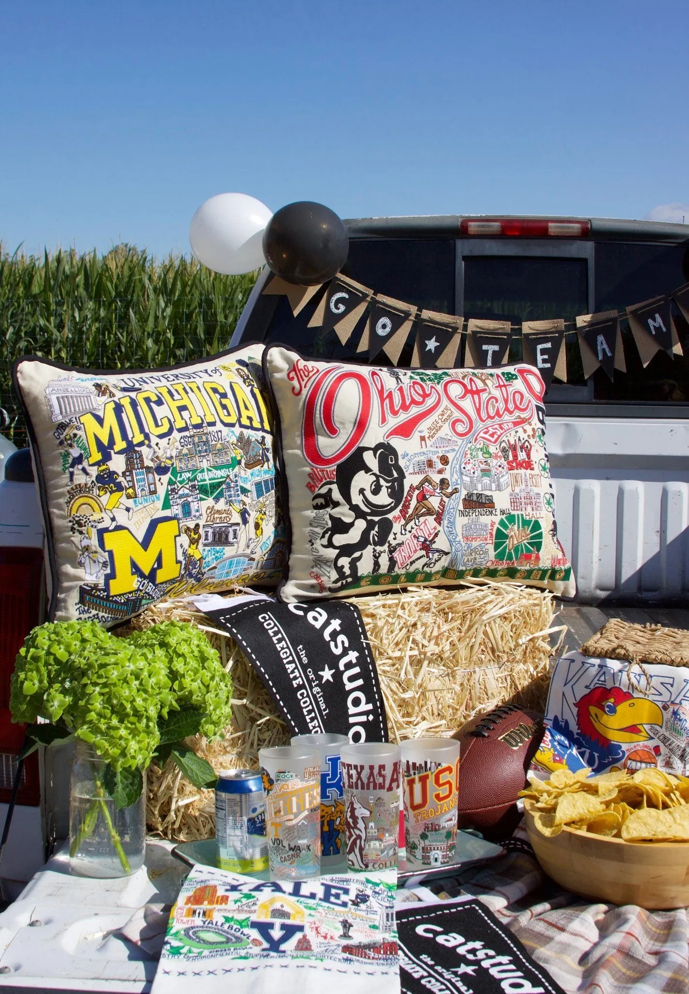 OHIO STATE UNIVERSITY PILLOW BY CATSTUDIO