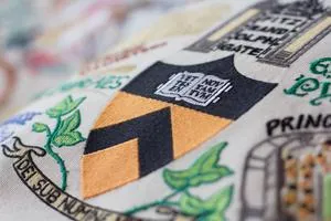 PRINCETON UNIVERSITY PILLOW BY CATSTUDIO