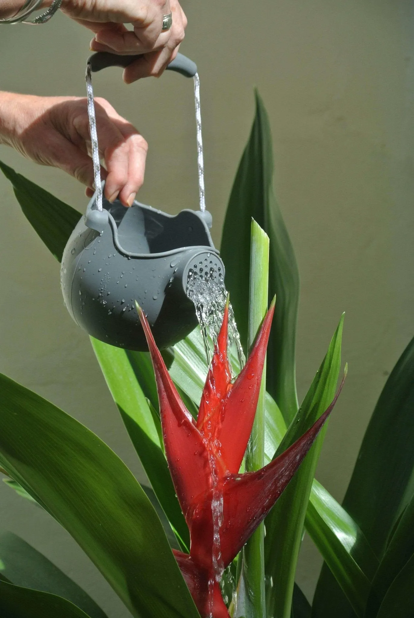 Scrunch Watering Can Various Colours