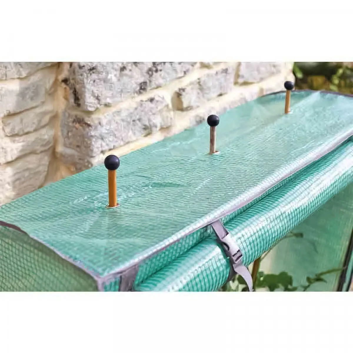 Smart Garden Tomato GroZone