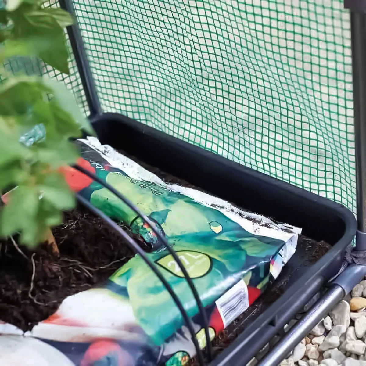 Smart Garden Tomato GroZone