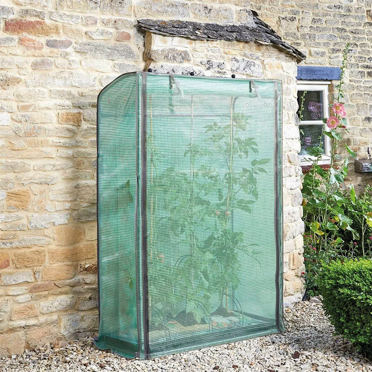 Smart Garden Tomato GroZone