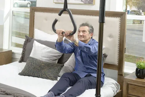 Sure Stand Pole Trapeze Grab Bar
